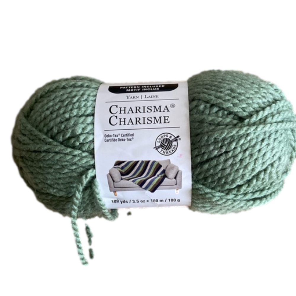 Charisma Yarn 1 Skein Sage Green